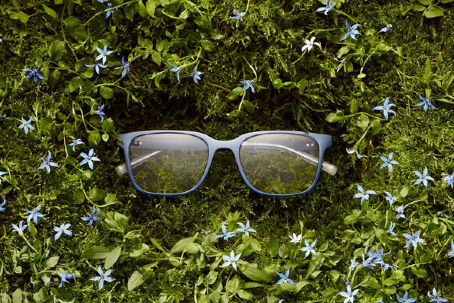 Glasses laying in grass